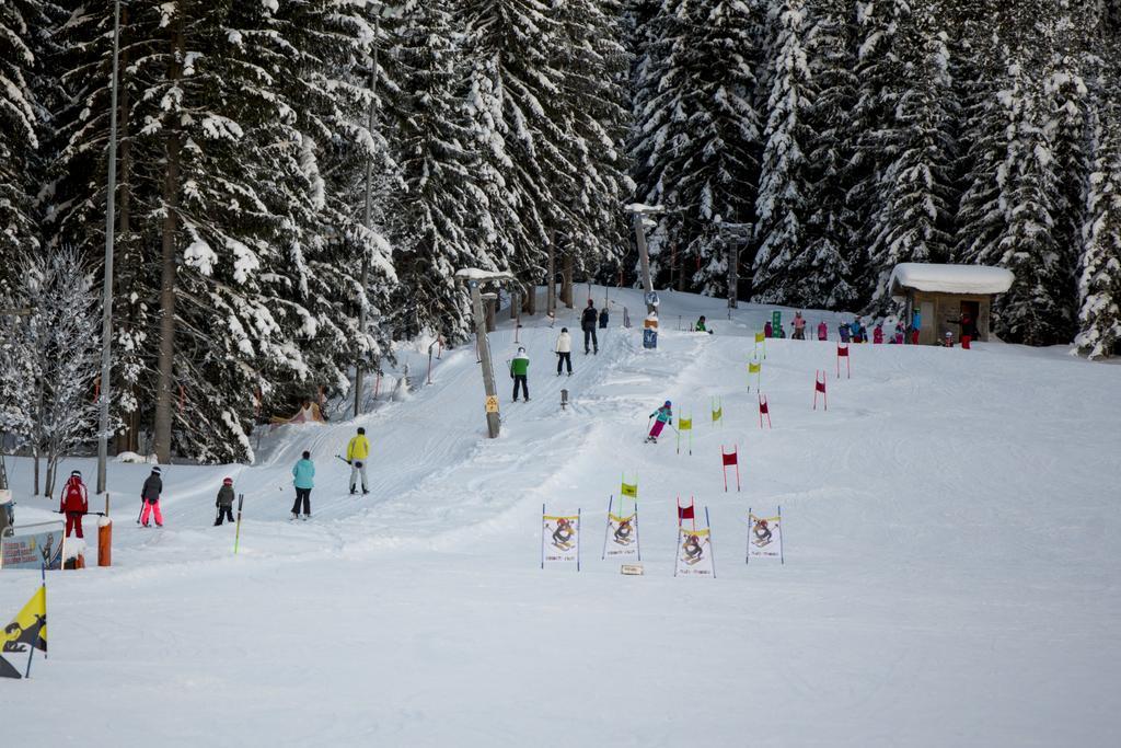 Dorf-Chalets Filzmoos Mit Sauna 外观 照片